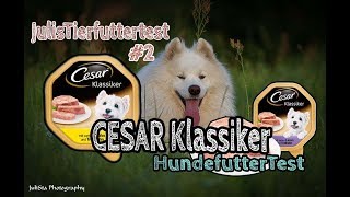 Hundefutter CESAR Klassiker im Test Nassfutter für Hunde  Review  JulisTierfuttertest 2 [upl. by Ernaldus934]