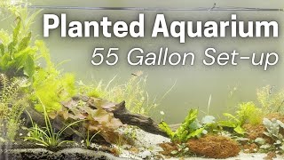 55 Gallon Planted Aquarium SetUp [upl. by Assenov50]