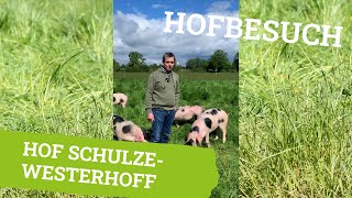 Hofbesuch Hof SchulzeWesterhoff [upl. by Freyah717]