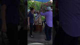 A Zapatear en Michoacán 💃🏻🕺🏽bailedetabla michoacán musica zapateado [upl. by Pacifica]