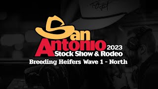 San Antonio Livestock Show 2023  Breeding Heifers Wave 1 North Ring [upl. by Ardnuek]