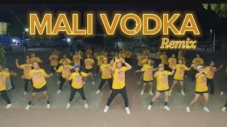 Mali Vodka Remix  Dance Fitness  Zumba [upl. by Isnyl]