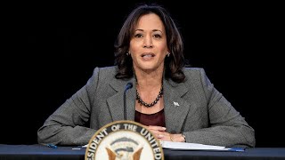 ‘Pathetic and insulting’ Kamala Harris asks for more money to cover campaign debt [upl. by Grath657]