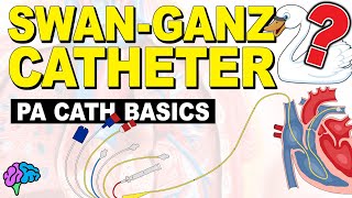 The BASICS of the Pulmonary Artery Catheter [upl. by Joses]