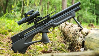 TOP 5 Best Affordable Air Rifles 2024  What No One is Telling You [upl. by Tammany]