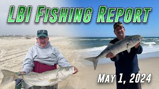 LBI Fishing Report May 1 2024  Surf Bass Bite Remains String [upl. by Adianes]