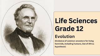 Life Sciences grade 12Evolution Evidence of common ancestors for living hominids including humans [upl. by Maggie]