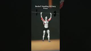 Barbell Standing Military Press Guide Enhance Your Shoulders Workouts [upl. by Kean]