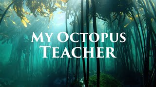 Not Just A Visitor  My Octopus Teacher 1 Hour Matthew Dennis [upl. by Tilda]