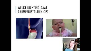 Samenvatting Voeding en Vertering 2MHV Biologie Voor Jou MAX [upl. by Aisetal]