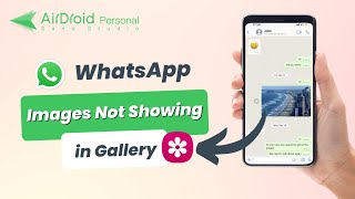 Whatsapp  Fix Media Visibility Not Showing  And Use Show Media in Gallery outside Whatsapp [upl. by Aikemahs]