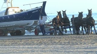 Ameland 3 3 Was geht ab  Das Wattenmeer Ballum und Hollum [upl. by Acsisnarf]