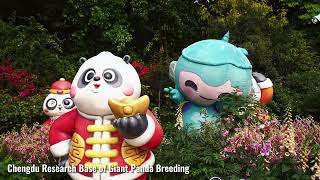 The mascots of Hangzhou Asian Games are taking Zhejiang Loong Airlines to Chengdu [upl. by Cypro797]