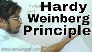 Hardy Weinberg principle class 12  CBSE Biology for NEET [upl. by Dorweiler482]