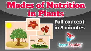 Class 7 Science Chapter 1 Nutrition in plants  Modes of nutrition in plants  CBSE  Learnfatafat [upl. by Eelyram]