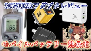 30W対応USBアダプターレビューしていたら モバイルバッテリー熱暴走で発火爆発寸前 塩水へ [upl. by Kirima]