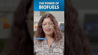 Biofuels explained QEDwithDrB energy microbes [upl. by Dolora]