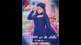 waroka yar me shazada da pashto song slow  reverb [upl. by Tilagram700]