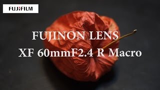 Fujifilm XF 60mm F 24 R Macro Fujinon Lens Photo Test And Sample [upl. by Klayman]