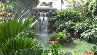 Jardin botanique Deshaies FULL HD Guadeloupe ex propriété de Coluche [upl. by Brittne]