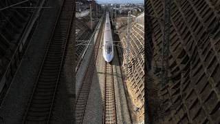 🚅日本の超高速列車🇯🇵  ショートパンツ  ショートパン ツ タレンディグ10k😱 ショートパンツ タレンディグ10k ショートパン 新幹線 e231系 train [upl. by Kralc887]