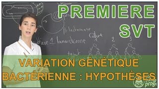 Variation génétique bactérienne  hypothèses possibles  SVT  1ère  Les Bons Profs [upl. by Perron474]