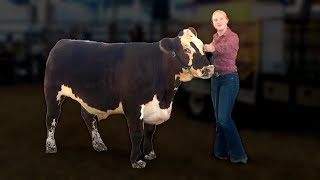 4H Livestock Parade of Champions and Expo Sale 2023 [upl. by Trahern]