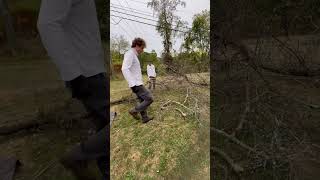 My first tree removal Underpaid haha landscaping tree lawncare [upl. by Kaleena]