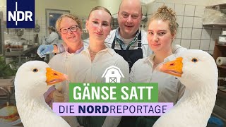 Weihnachten ist Gänsezeit  Landgasthof zwischen Tradition und neuen Ideen  Die Nordreportage  NDR [upl. by Adnole956]