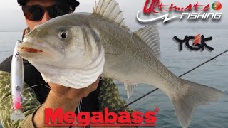 MEGABASS zonk 120 [upl. by Mattland]