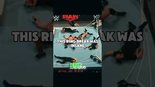 Old Ring Breaks Were Something Else 🥹 Bronson Reed Ring Break vs Brock Lesnar ring brock wwe [upl. by Nemraciram]