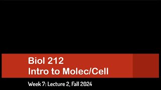 CSULB Biol 212 Fall 2024  Week 7 Lecture 2 [upl. by Kinata]