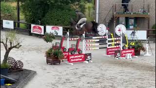 Cuba libre  gelding 2016 by Cornet Obolensky x Calypso III [upl. by Elurd945]