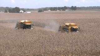 Caterpillar 595R and Claas Lexion 760TT Combines Harvesting Corn [upl. by Alehcim]