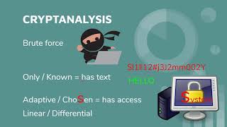 CISSP Domain 3 CRYPTANALYSIS [upl. by Hgielhsa]