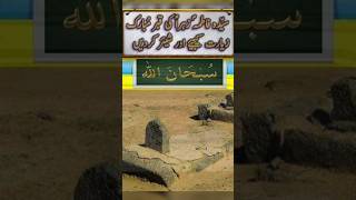 The prophets sallallahu alaihi wasallamkhabare mubarakAoliyahyoutubeshortsvideo [upl. by Goodrow626]