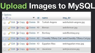 How to Insert Images to MySQL and Display Them Using PHP [upl. by Bickart]