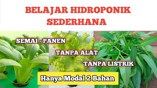 Tutorial Hidroponik Sederhana Lengkap dan Mudah Untuk Pemula  Simple Hydroponics at home [upl. by Leirol]