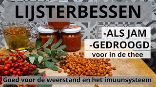 Lijsterbessenjam en Gedroogd Goed voor de Weerstand en het Immuunsysteem [upl. by Amatruda]