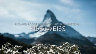 Edelweiss [upl. by Henleigh375]