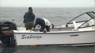 Jigging for Cod Centreville NF Part 1 of 4 [upl. by Nafri]