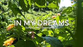 IN MY DREAMS  BY REO SPEEDWAGON  LYRICS [upl. by Fidelia]