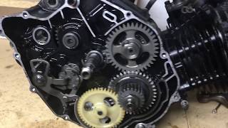 2004 Yamaha TW200 Engine Rebuild [upl. by Macnamara]