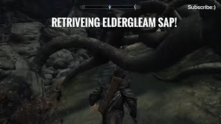 Skyrim How to retrieve the Eldergleam Sap [upl. by Duntson]