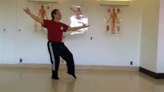 Fundamentals of Tai Chi  6  Repulse Monkey [upl. by Zug801]