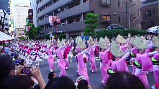 高円寺 阿波踊 Koenji Awa Odori 2023 MAH09689 [upl. by Henrieta555]