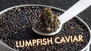 How Caviar is Made  Ingenious Lump Fish Harvesting and Processing Technology at Another Level [upl. by Antonius]