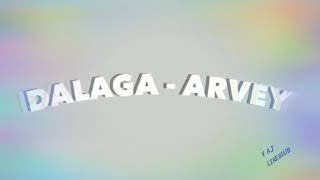 DALAGA by Arvey  lyrics video [upl. by Nymzaj]