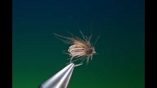 Fly Tying Clarkes caddis fly with Barry Ord Clarke [upl. by Henley896]