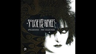 Siouxsie and the Banshees  Spellbound  basscover 🎸🎵🎼 [upl. by Mildred238]